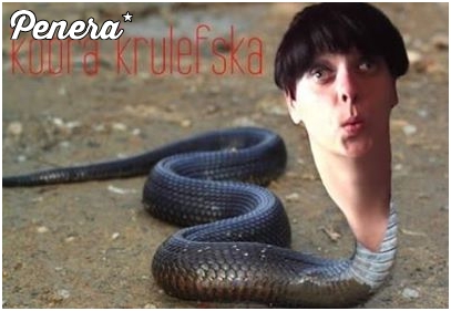 Kobra krulefska