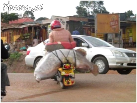 Kochanie na kolację będzie sushi