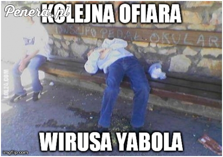 Kolejna ofiara wirusa Yabola