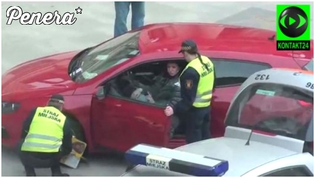 Kolejna święta krowa