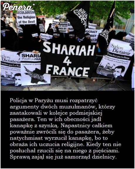 Kolejny przykład że islam to religia pokoju