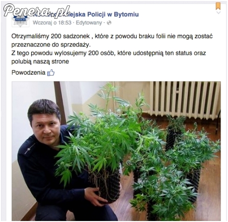 Komenda w Bytomiu rozdaje sadzonki