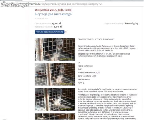 Komornik kretyn wystawił psa na licytację