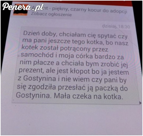 Kota? Paczką?