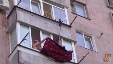 Kradzież świeżo wywieszonego kota