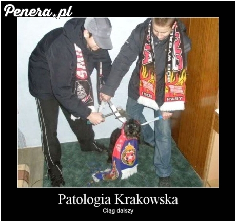 Kraków - Stolica polskiej kultury Kraków - Stolica polskiej kultury