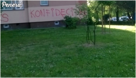 Krakowscy mistrzowie ortografii