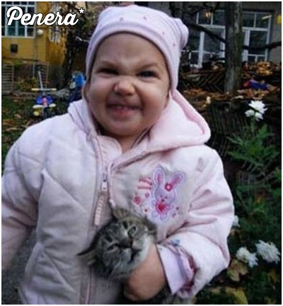 Ktoś tu bardzo kocha koty