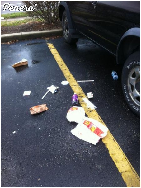 Kultura typowego buraka