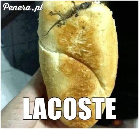 Lacoste