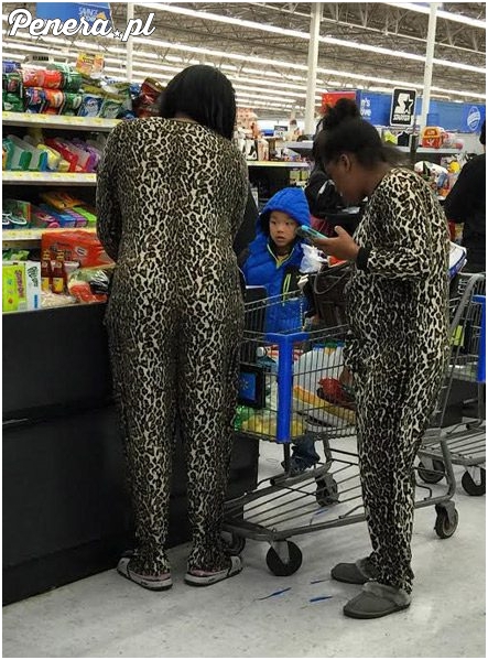 Lamparcice na zakupach