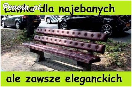 Ławka dla elity