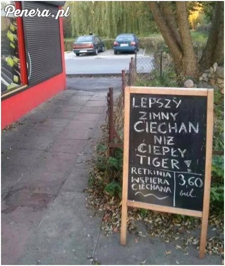 Lepszy zimny Ciechan