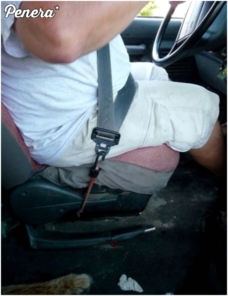 Linka bezpieczeństwa