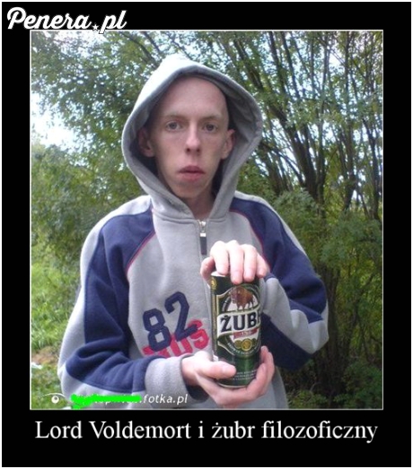 Lord Voldemort i Żubr filozoficzny