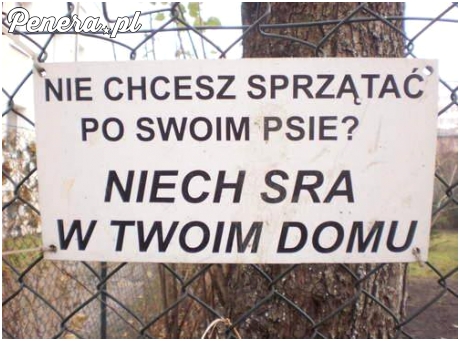 Mała prośba do właścicieli psów