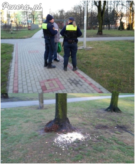 Mandat dla dziadka za to że dokarmiał gołębie