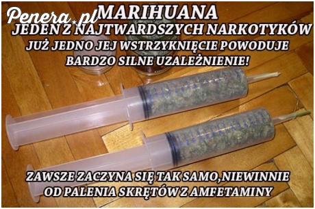 Marihuanina - jeden z najgorszych narkotyków