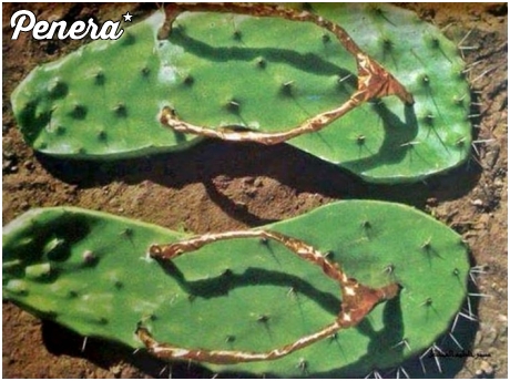 Meksykańskie japonki