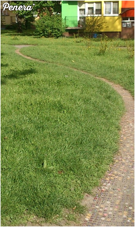 Menele w czynie społecznym