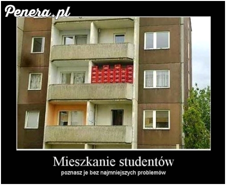 Mieszkanie studentów - trafisz tam bez problemu