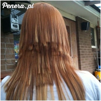 Mistrzyni fryzjerstwa w akcji