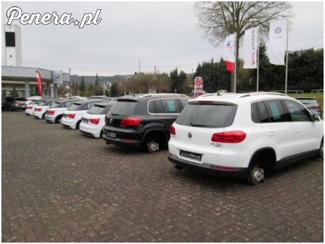 Mówią że Polacy tam byli