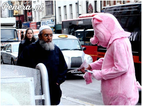 Może ulotkę promocyjną do sklepu mięsnego