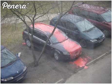 Mściwy sąsiad albo zazdrosna żona