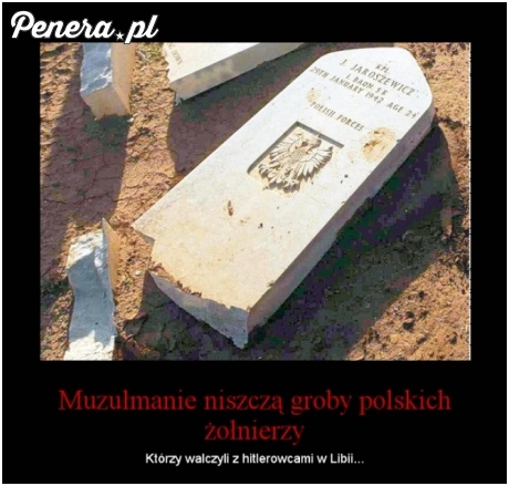 Muzułmanie niszczą groby Polskich Żołnierzy