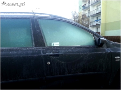 Naklejkę należy umieścić w prawym dolnym rogu szyby