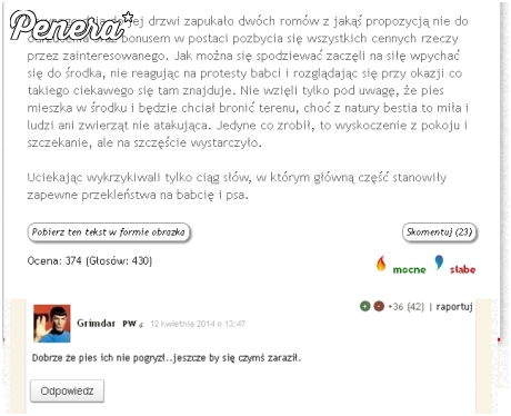 Napaść romów i dzielny pies