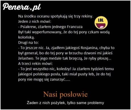 Nasi posłowie - żaden z nich pożytek