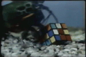 Nawet krewetka to potrafi