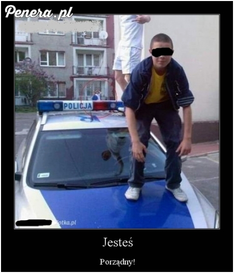 Nic tylko pogratulować debilizmu