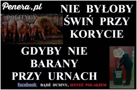 Nie byłoby świń przy korycie