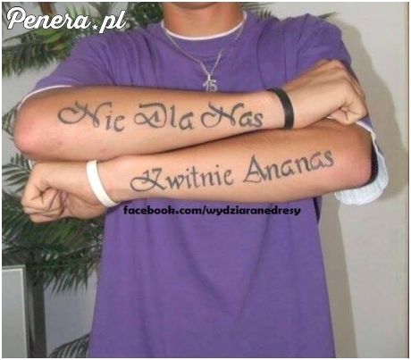 Nie dla nas kwitnie ananas