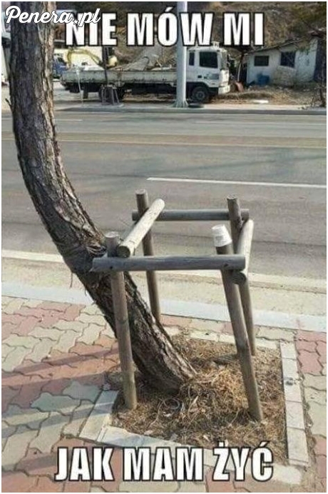 Nie mów mi jak mam żyć