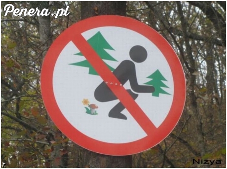 Nie zostawiaj papierzaków w lesie