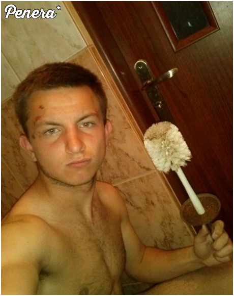 Niekwestionowany król sedesu