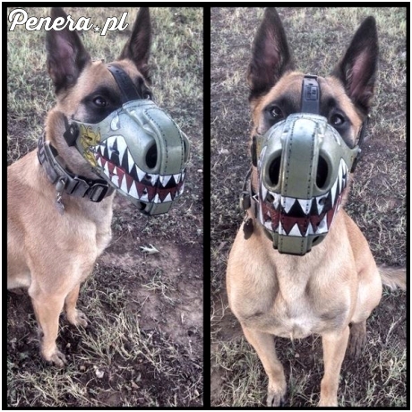 Nietypowy kaganiec dla pieska :D