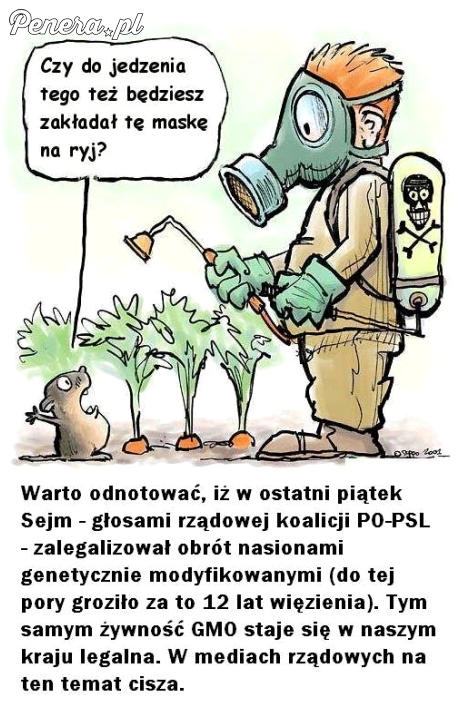 No i GMO zawitało do Polski