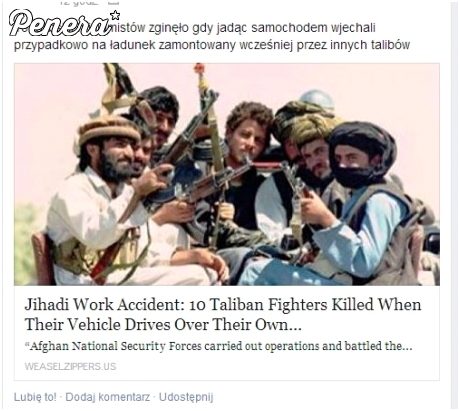 No proszę jak ładnie - sami siebie eliminują