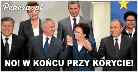 No w końcu przy korycie!