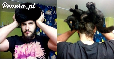 Nowa moda - czapka z kota