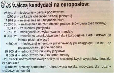O co walczą kandydaci na europosłów