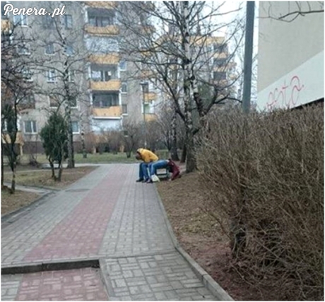 Osiedlowi znawcy jogi