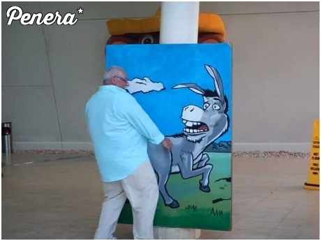 Osioł chyba niezbyt zadowolony