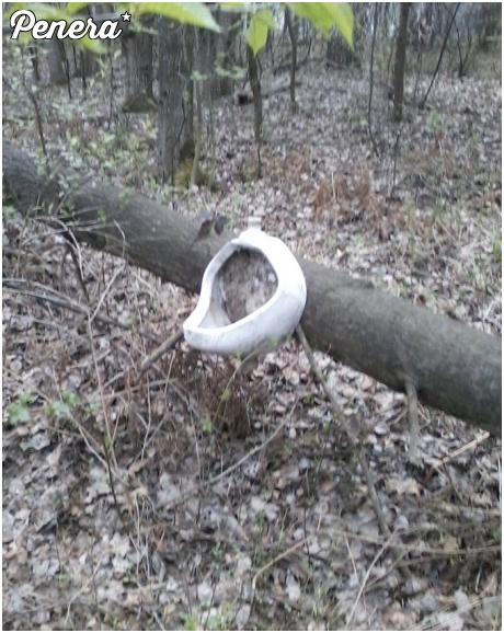 Pamiętaj sikaj zawsze do pisuaru