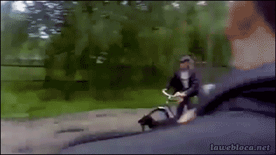 Patrz w lusterka - rowerzyści są wszędzie